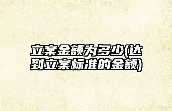 立案金額為多少(達到立案標準的金額)