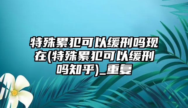 特殊累犯可以緩刑嗎現(xiàn)在(特殊累犯可以緩刑嗎知乎)_重復(fù)