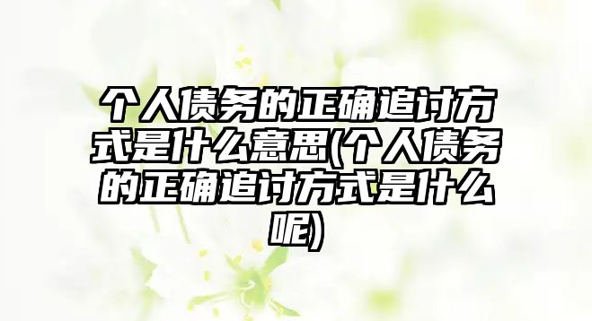 個人債務(wù)的正確追討方式是什么意思(個人債務(wù)的正確追討方式是什么呢)