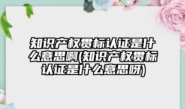 知識產權貫標認證是什么意思啊(知識產權貫標認證是什么意思呀)