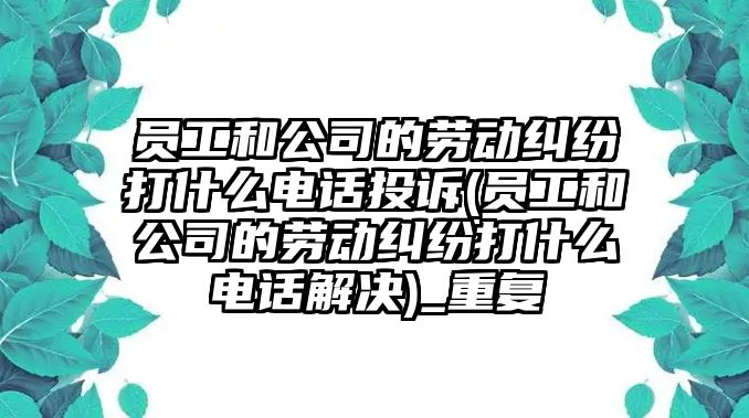 員工和公司的勞動糾紛打什么電話投訴(員工和公司的勞動糾紛打什么電話解決)_重復