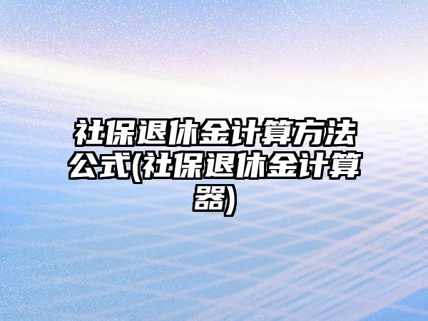 社保退休金計(jì)算方法公式(社保退休金計(jì)算器)