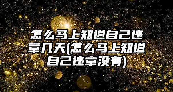 怎么馬上知道自己違章幾天(怎么馬上知道自己違章沒有)