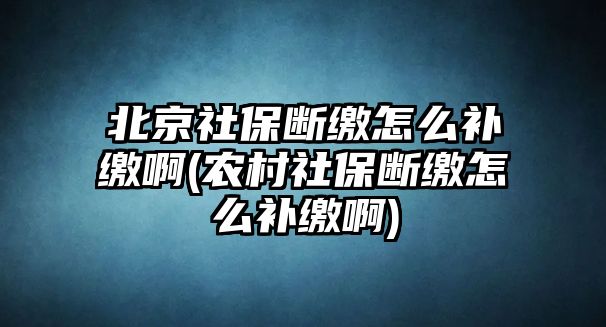 北京社保斷繳怎么補(bǔ)繳啊(農(nóng)村社保斷繳怎么補(bǔ)繳啊)