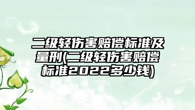 二級(jí)輕傷害賠償標(biāo)準(zhǔn)及量刑(二級(jí)輕傷害賠償標(biāo)準(zhǔn)2022多少錢(qián))