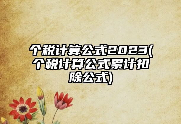 個稅計算公式2023(個稅計算公式累計扣除公式)