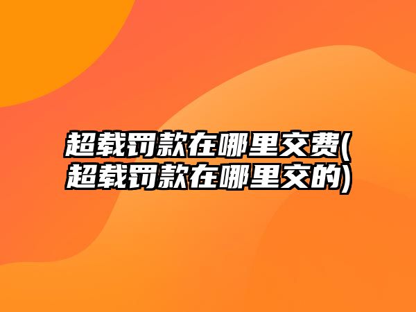 超載罰款在哪里交費(fèi)(超載罰款在哪里交的)