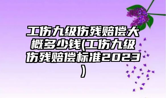 工傷九級傷殘賠償大概多少錢(工傷九級傷殘賠償標準2023)