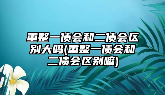 重整一債會和二債會區別大嗎(重整一債會和二債會區別嘛)