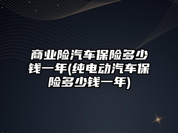 商業險汽車保險多少錢一年(純電動汽車保險多少錢一年)