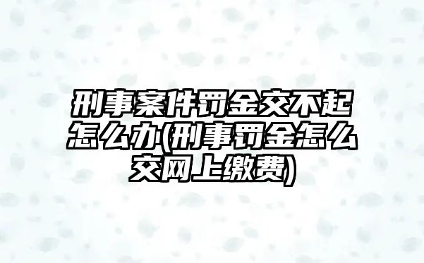 刑事案件罰金交不起怎么辦(刑事罰金怎么交網上繳費)