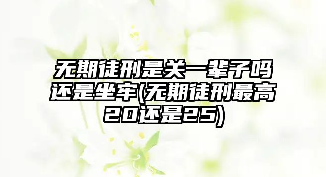 無(wú)期徒刑是關(guān)一輩子嗎還是坐牢(無(wú)期徒刑最高20還是25)