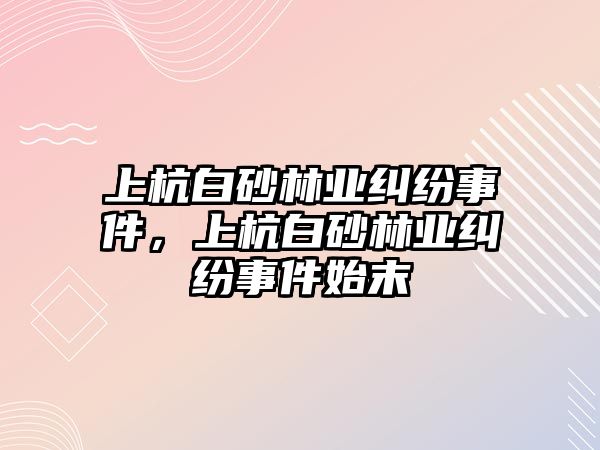 上杭白砂林業糾紛事件，上杭白砂林業糾紛事件始末