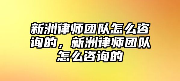 新洲律師團(tuán)隊(duì)怎么咨詢的，新洲律師團(tuán)隊(duì)怎么咨詢的