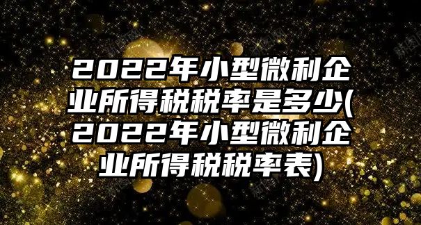 2022年小型微利企業所得稅稅率是多少(2022年小型微利企業所得稅稅率表)