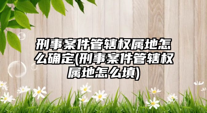 刑事案件管轄權屬地怎么確定(刑事案件管轄權屬地怎么填)