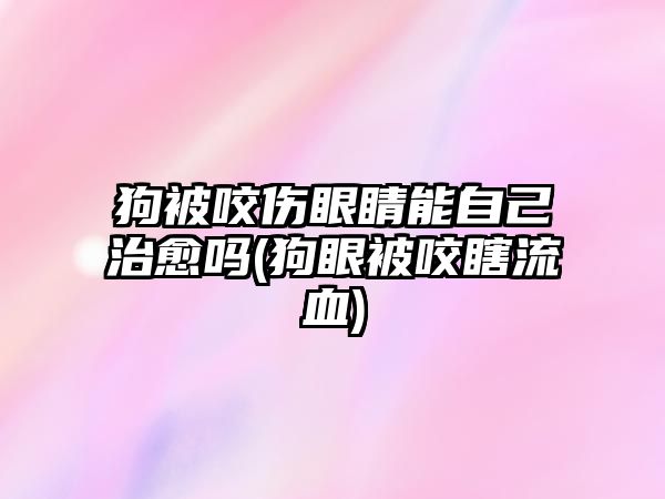 狗被咬傷眼睛能自己治愈嗎(狗眼被咬瞎流血)