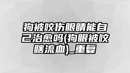 狗被咬傷眼睛能自己治愈嗎(狗眼被咬瞎流血)_重復