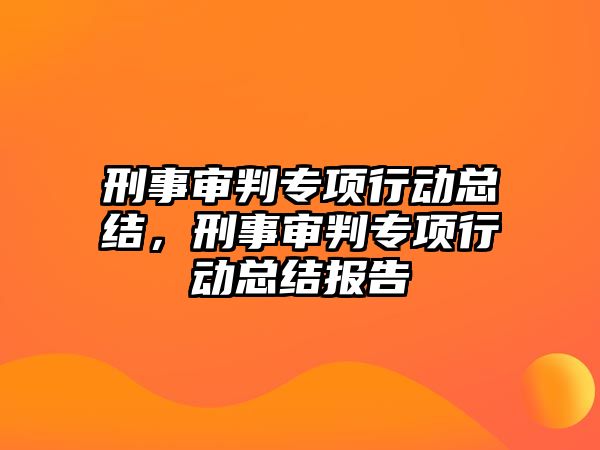 刑事審判專項行動總結，刑事審判專項行動總結報告