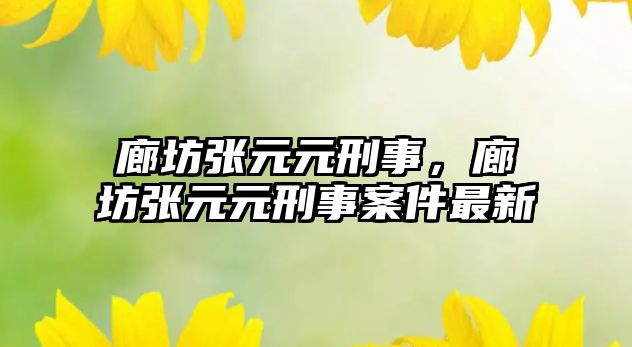 廊坊張元元刑事，廊坊張元元刑事案件最新