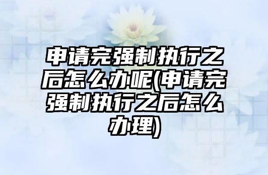 申請完強制執行之后怎么辦呢(申請完強制執行之后怎么辦理)