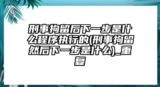 刑事拘留后下一步是什么程序執行的(刑事拘留然后下一步是什么)_重復