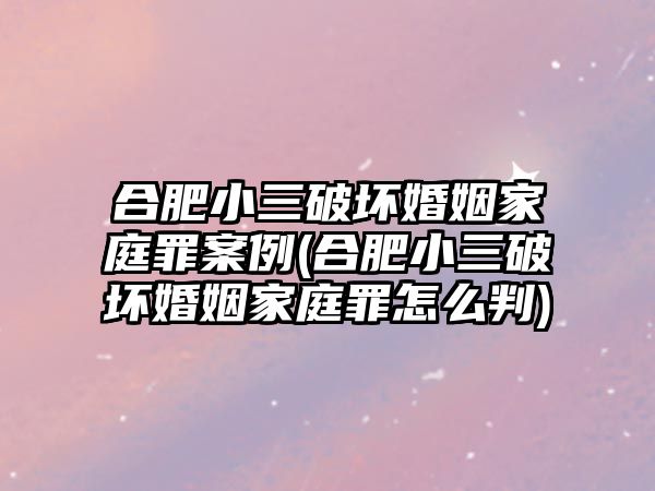 合肥小三破壞婚姻家庭罪案例(合肥小三破壞婚姻家庭罪怎么判)