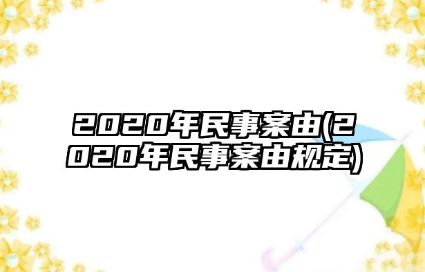 2020年民事案由(2020年民事案由規(guī)定)