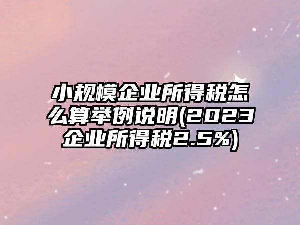 小規模企業所得稅怎么算舉例說明(2023企業所得稅2.5%)