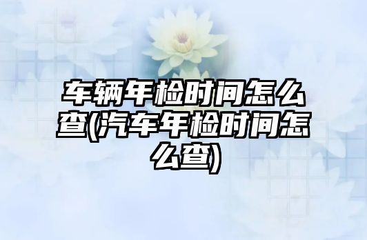 車輛年檢時間怎么查(汽車年檢時間怎么查)