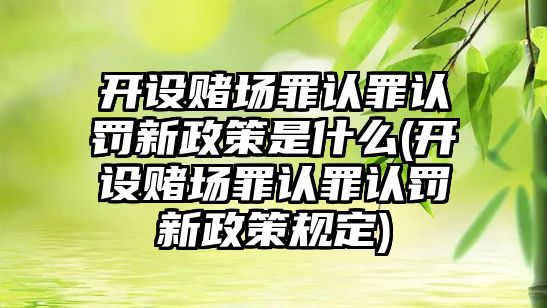 開設賭場罪認罪認罰新政策是什么(開設賭場罪認罪認罰新政策規定)