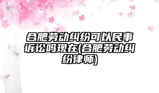 合肥勞動糾紛可以民事訴訟嗎現(xiàn)在(合肥勞動糾紛律師)