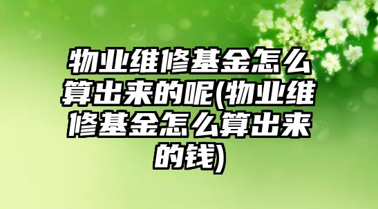 物業維修基金怎么算出來的呢(物業維修基金怎么算出來的錢)