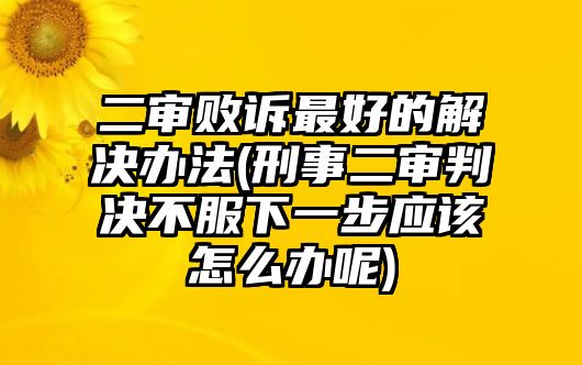 二審敗訴最好的解決辦法(刑事二審判決不服下一步應(yīng)該怎么辦呢)