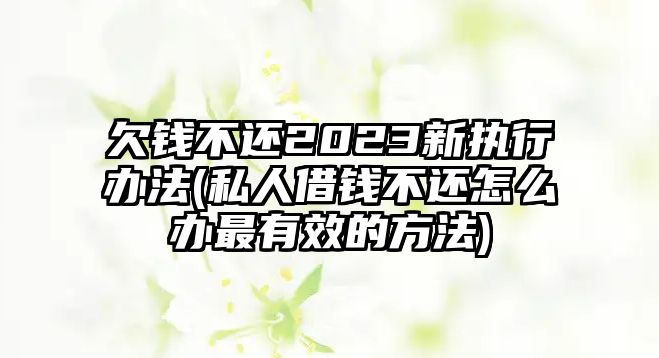 欠錢不還2023新執(zhí)行辦法(私人借錢不還怎么辦最有效的方法)