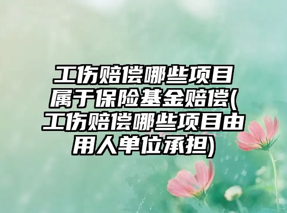 工傷賠償哪些項(xiàng)目屬于保險(xiǎn)基金賠償(工傷賠償哪些項(xiàng)目由用人單位承擔(dān))