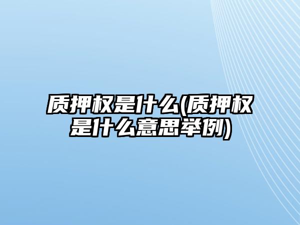 質押權是什么(質押權是什么意思舉例)