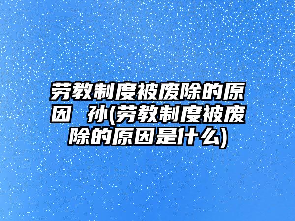 勞教制度被廢除的原因 孫(勞教制度被廢除的原因是什么)