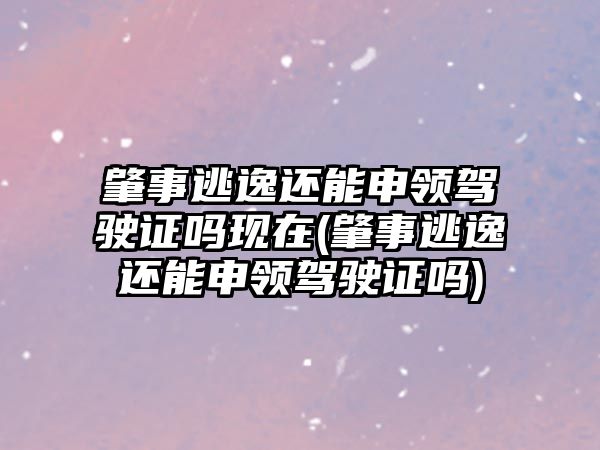 肇事逃逸還能申領駕駛證嗎現在(肇事逃逸還能申領駕駛證嗎)