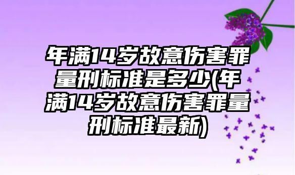 年滿14歲故意傷害罪量刑標(biāo)準(zhǔn)是多少(年滿14歲故意傷害罪量刑標(biāo)準(zhǔn)最新)