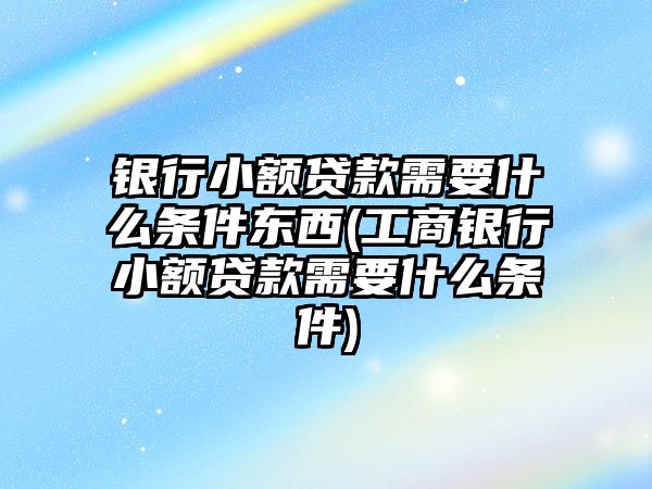 銀行小額貸款需要什么條件東西(工商銀行小額貸款需要什么條件)