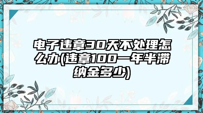 電子違章30天不處理怎么辦(違章100一年半滯納金多少)