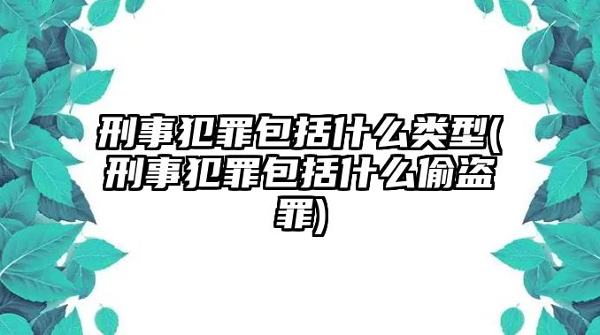 刑事犯罪包括什么類型(刑事犯罪包括什么偷盜罪)