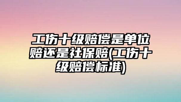 工傷十級(jí)賠償是單位賠還是社保賠(工傷十級(jí)賠償標(biāo)準(zhǔn))