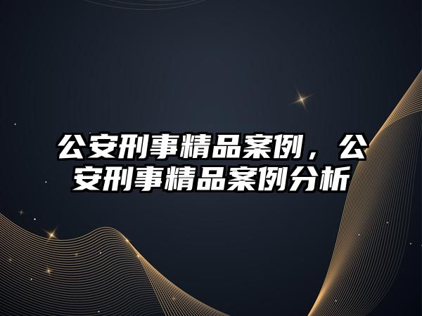 公安刑事精品案例，公安刑事精品案例分析