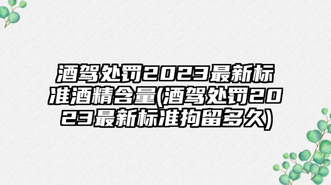 酒駕處罰2023最新標準酒精含量(酒駕處罰2023最新標準拘留多久)