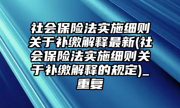 社會保險法實(shí)施細(xì)則關(guān)于補(bǔ)繳解釋最新(社會保險法實(shí)施細(xì)則關(guān)于補(bǔ)繳解釋的規(guī)定)_重復(fù)