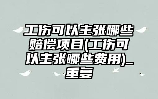 工傷可以主張哪些賠償項目(工傷可以主張哪些費用)_重復