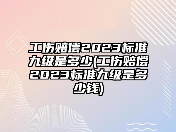 工傷賠償2023標準九級是多少(工傷賠償2023標準九級是多少錢)