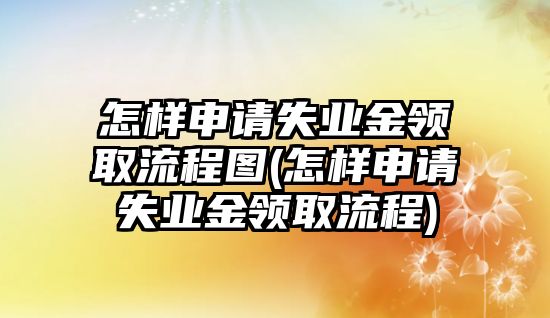 怎樣申請失業金領取流程圖(怎樣申請失業金領取流程)